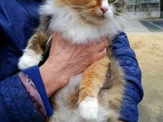 SOS!!!!      ! 1,5         ,           