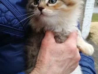 SOS!!!!      ! 1,5         ,           