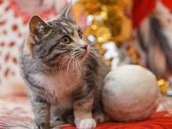  -    - , !)  ) 5 ,,  )   ,    ,  