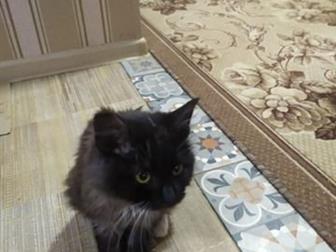 ,            ,     ,   ,        ,  