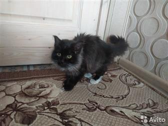 ,            ,     ,   ,        ,  