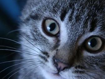 ??      ??  ,   2, 5 !   ,  ,  ,     