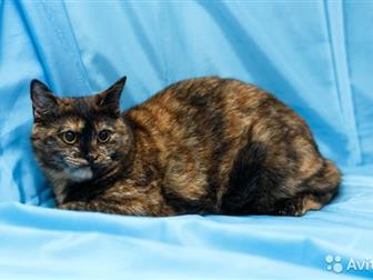     !,   2,5 ,   ,   ,     ,    ,  ,  ,  