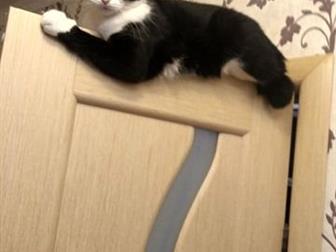     ,   4  - ,   ,    ,      ,   ,  