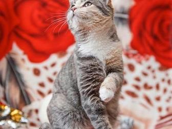    !    , , , ,  , ,  5 ,      )    