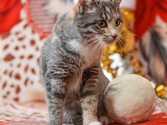    !    , , , ,  , ,  5 ,      )    