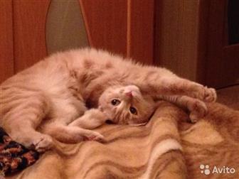    !    ,        ,   6 , , ,  ,  