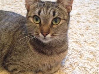   ,   1 ,   , ,   ,     ,  