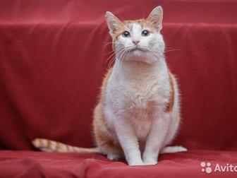  ,  ,   : ,  ,    5 ,   ,   ,   ,  