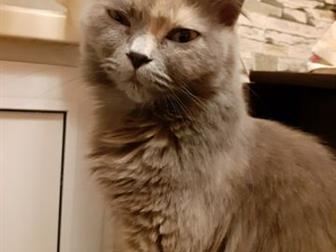      ,   ,,  ,  , ,  ,      ,   