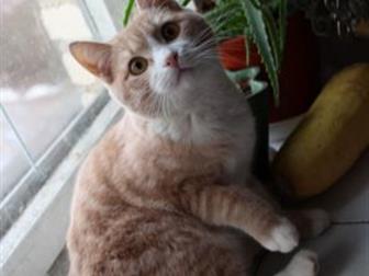  6   ,       ,       ,  