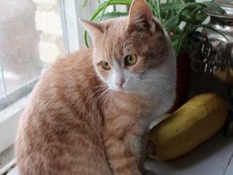  6   ,       ,       ,  