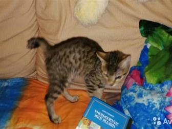 ,     ,   -12 ,     ,   ,      ,    ,   