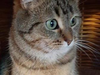  -     ,   , , ,     ,     ,   ,  