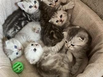 ?? 6??  - 8, 02, 2020,  ?? ??   4??   1?? ??    ,  ?   