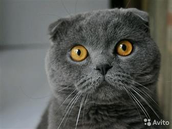     4 ,    ,   ,  ,   ,      ,  