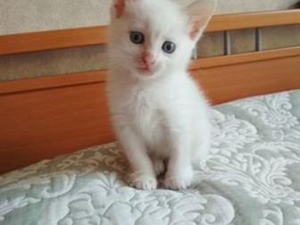    ,   -,   1,5 ,   ,     ,    ,   ,  