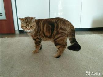 !, !     ,   ,  ,,,  ,  !    