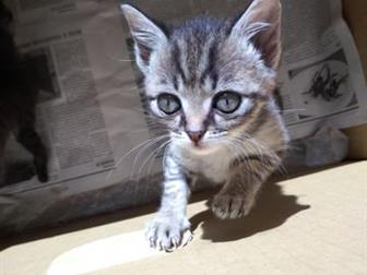      ,  -,   ,  , ,   , , , ,  