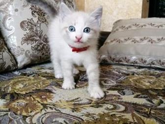     !          ,    ,       ,  
