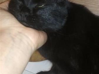   ,       ,    (           ,     