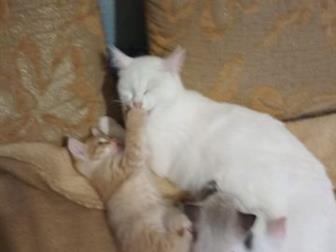     ,   ,    3 ,  , ,   ,   ,  