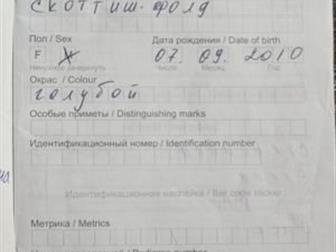    ,  9  ,  ,  , ,     