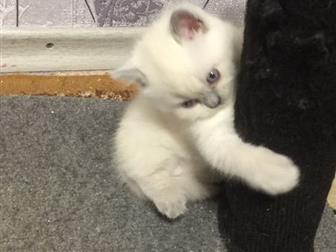   ,  , ,  25, 08,   , ,   ,    ,  ! !  ,  ,   ,  