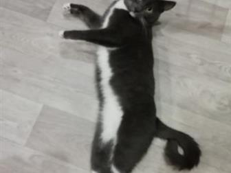           ,    , 4 ,    , 2 , ,  