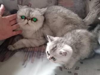  ,  16 ,   ,   ,      ,  