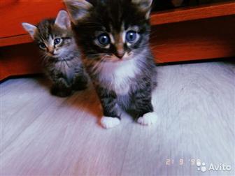  2   2 ,    , 2 ,  