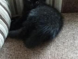  1 ,       ,     