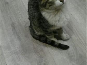    4 ,      ,  , ,     ,   ,  