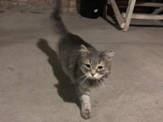    !, ,   ,         ,     ,  