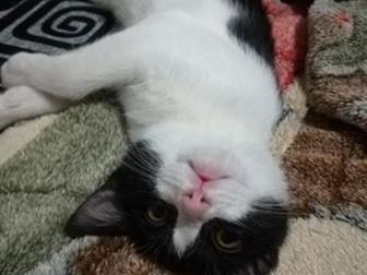    !   ,  3,5        , ,   ,    