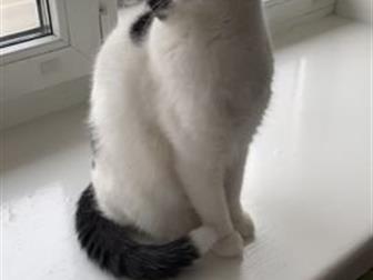   (-)   !    !-   , ,  ( ,   