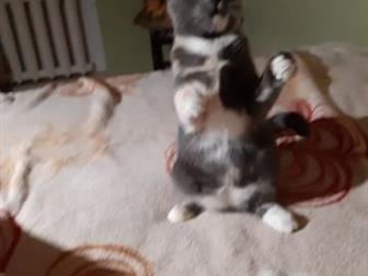   5       ,  