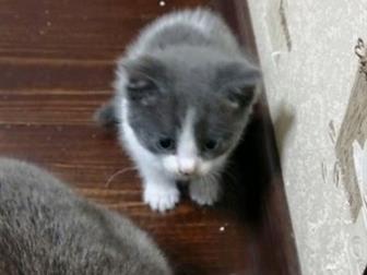     ,  ,   ,    