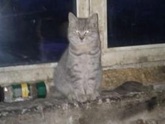    ,     , 5  , ,      ??    ,  