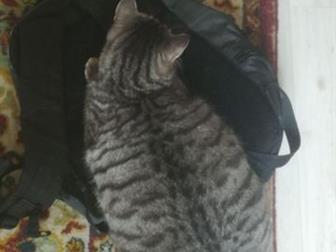  1,9  ,   , ,     ,     ,    ,  
