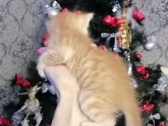  ,  18 ,      ,   