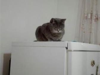     , ,  ,      ,   ,     ,   , ,  