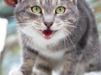 ???   ???,     ,       ,      ,       ,      