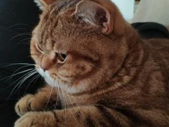 !, !     ,   ,  ,,,  ,  !    