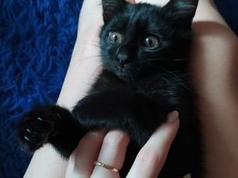   , 3  ,   ,    ,  ,  