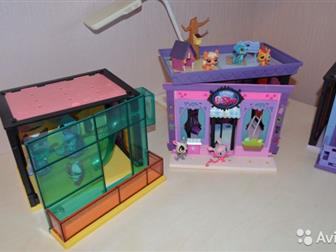      little pet shop,     ,    ,   ,       ,  