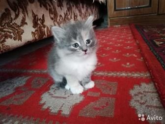 1 , ,  , , ,      