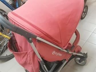    Cybex calisto,    ,          , : /  