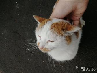    ,  ,  -          ,        ,  
