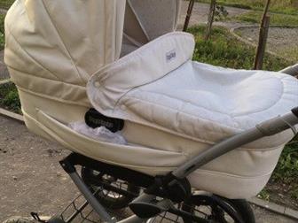    Peg Perego  Iatte ()   ,       ! : -     